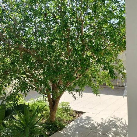 Casa Alessandra Surbo
